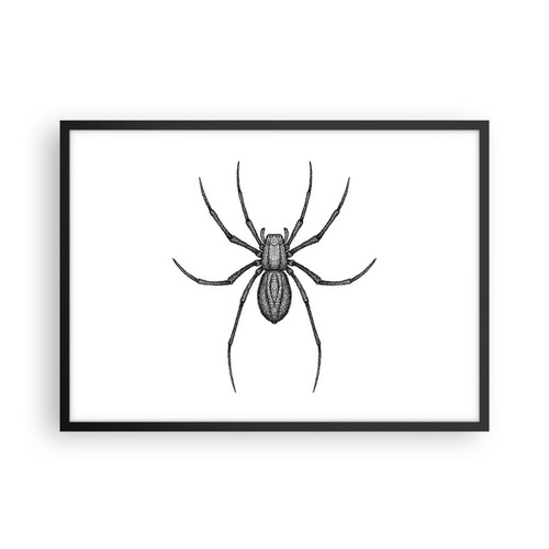 Poster 70x50cm ragno - poster,