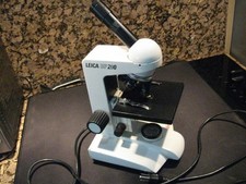Leica BF200 Microscopio
