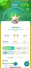 Larvesta Lucente | P T C 100K