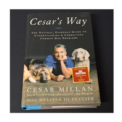 Cesar millan - cesar, guida