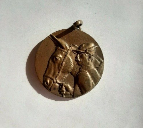 Medaglia alpini adunata - xv,