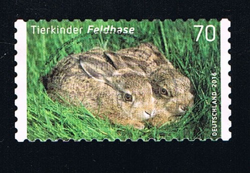 Germania francobollo cuccioli - germania,
