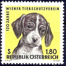 Austria 1966 cane inglese foxhound cuccioli società protezione animali 1v MNH