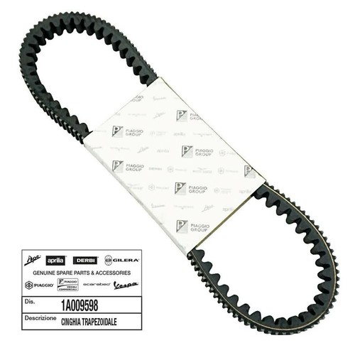 Cinghia distribuzione piaggio - cinghia,