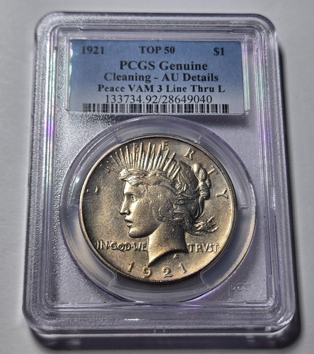 Moneta dollaro 1921 - moneta, 1