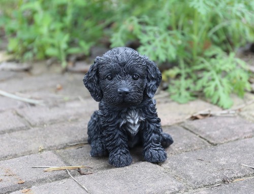 Pet pals cockapoo - pals,