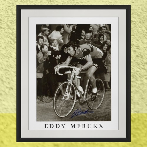 Stampa firmata eddy merckx - firmata,