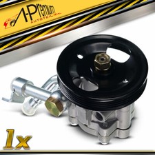 Pompa Servosterzo Con Pulegge