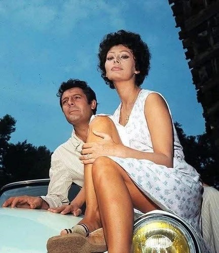 Foto vintage sophia loren - vintage,sophia,