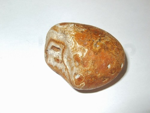 Minerali grezzi - minerali,