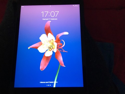 Ipad mini colore nero in - 2,