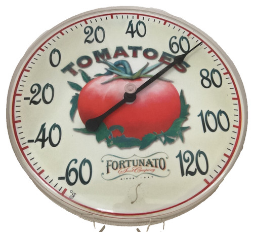 Termometro fortunato seed - termometro,