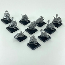Skinks Archer Regiment -
