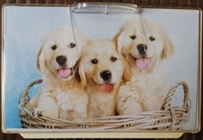 SCATOLA PORTAOGGETTI MINI QBOX CON CUCCIOLI