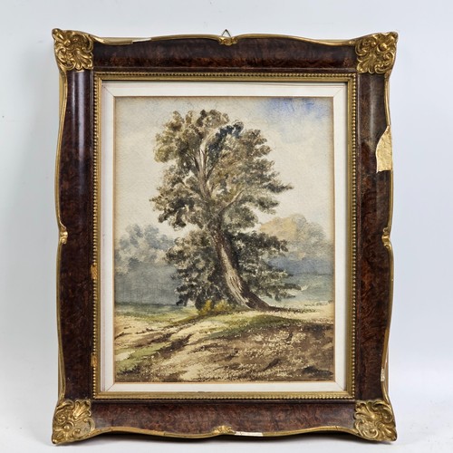 Antico acquerello paesaggio - antico,