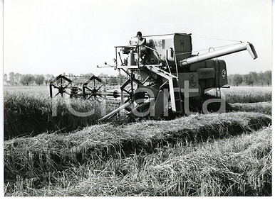 1960 area vercelli raccolta - ca,
