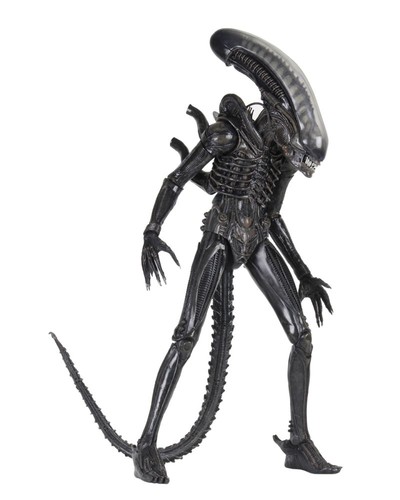 Neca alien ultim - ann, big