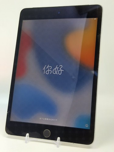 Apple ipad mini - ipad, a1550