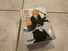 Bleach Soul Entered Model