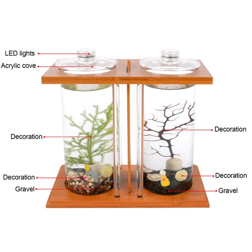 Betta fish tank - betta, ciotole