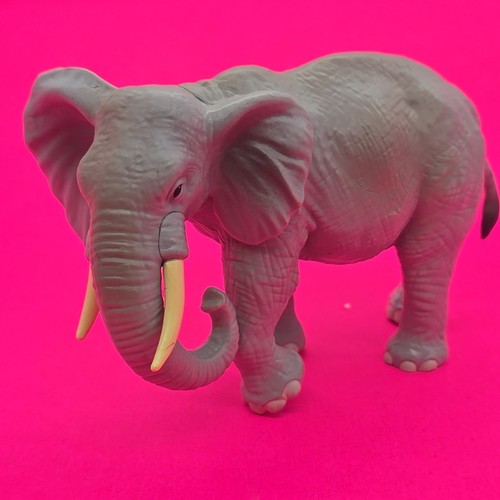 Elefante grigio con zanna - elefante,