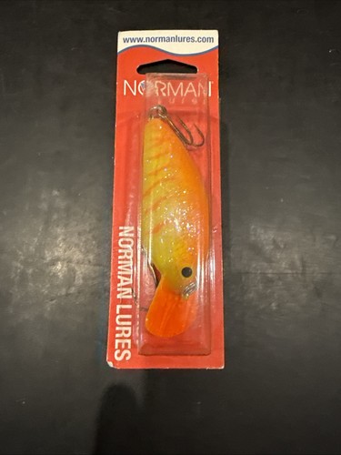 Zebra arancione norman big - zebra, n