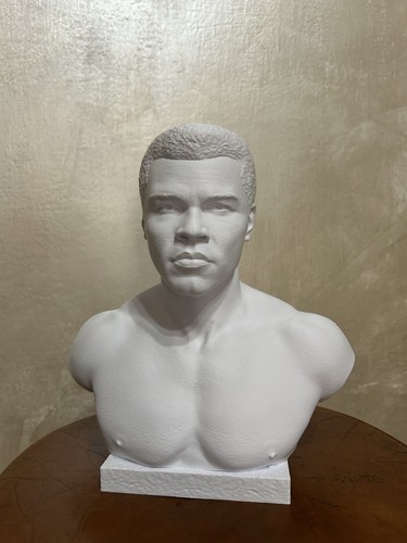 Busto muhammad ali box - busto,