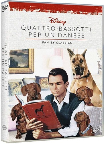 Bassotti per danese - bassotti, un