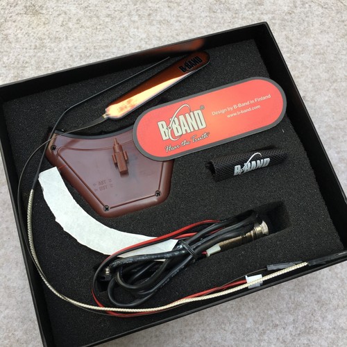 Pickup per chitarra acustica
