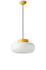 FLR-170 Modern 1 Light Glass &