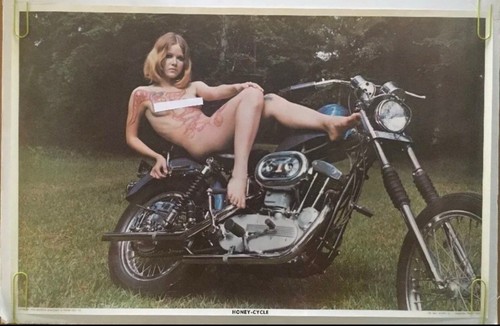 Honey cycle poster - honey,