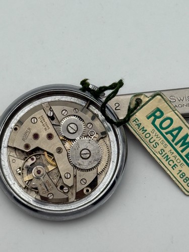 Roamer mst medana - medana, movement