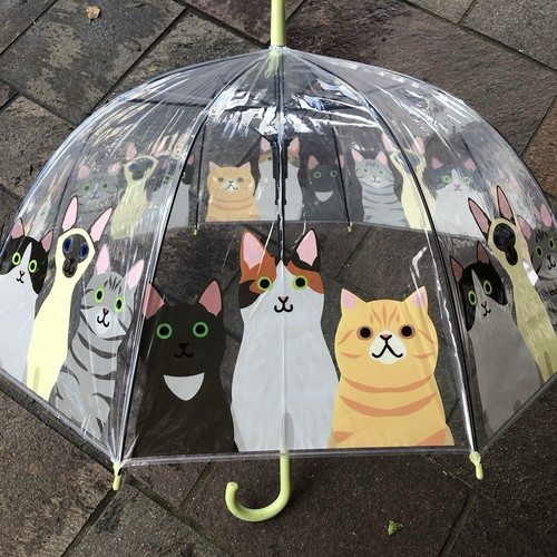 Ombrello donna gatto - , lunghezza