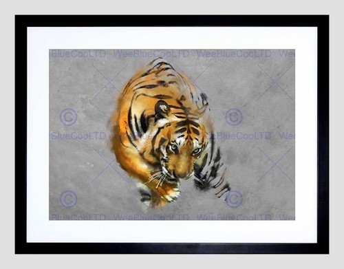86188 disegno grande - 86188,