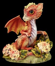 Draghi Figura - Calendula