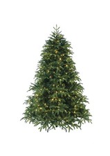 Albero di Natale con Luci
