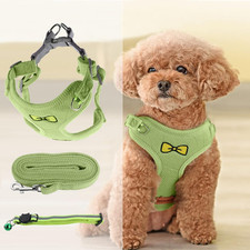 Pettorina Cani Di Piccola