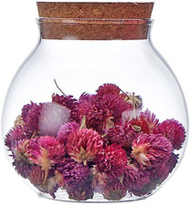 Bottiglie Rotonde Vuote in