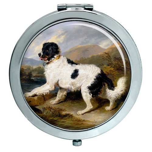 Specchio compatto con cane - compatto,