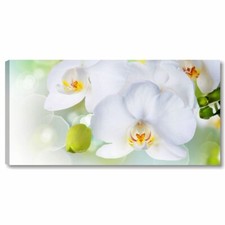 Orchidea bianca zen QUADRO
