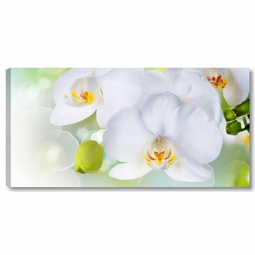 Orchidea bianca zen - , quadro