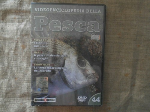 Videoenciclopedia della - -videoenciclopedia,