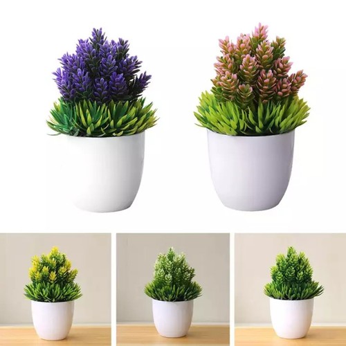 Albero bonsai simulazione