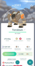 Terrakium / Terrakion Pokémon