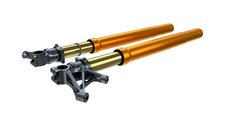 FORCELLA COMPLETA OHLINS 46 RR