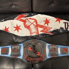 WWE CM Punk 434 Days Limited