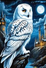 Gufo Harry Potter Diamante Arte/Pittura 30x40 Trapano Rotondo