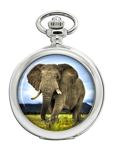 Orologio taschino elefante - da,