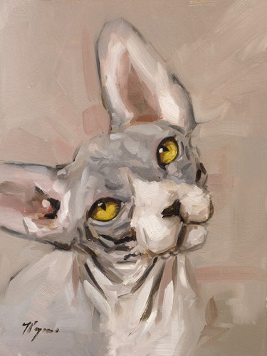 Sphynx gatto arte - , originale