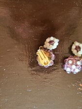 Orecchini clips vintage - orecchini,